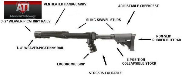   .vendio/a/12301129/aview/ATI RUGER 10 22 STRIKEFORCE_13 GAL