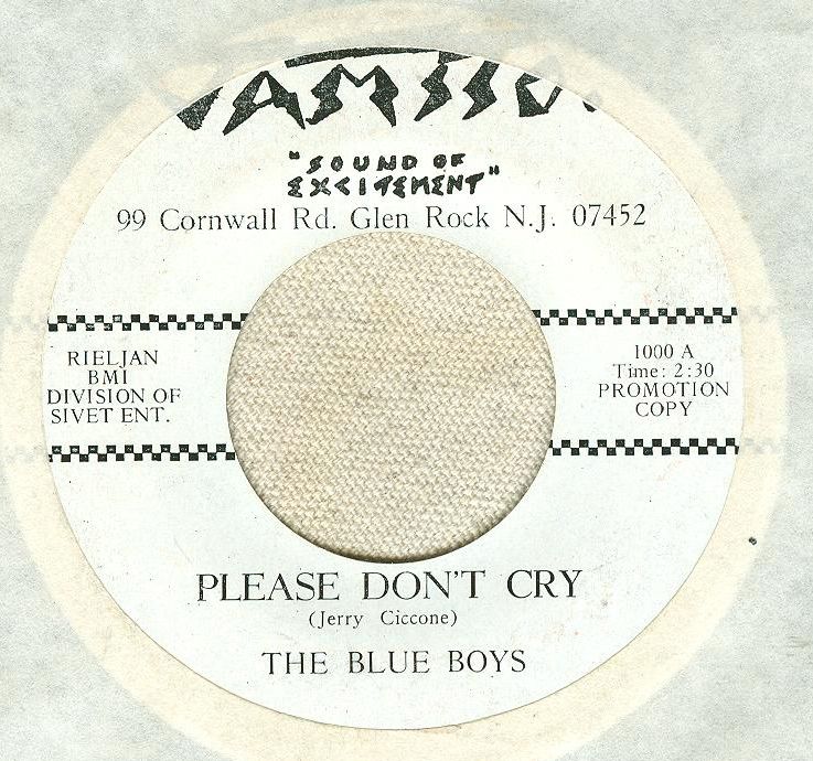 The Blue Boys Why Did You Go / Please Dont Cry VAMSSO Northern Soul 