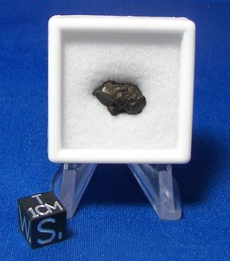 Collection Starter Meteorite SIKHOTE ALIN Micro Display  