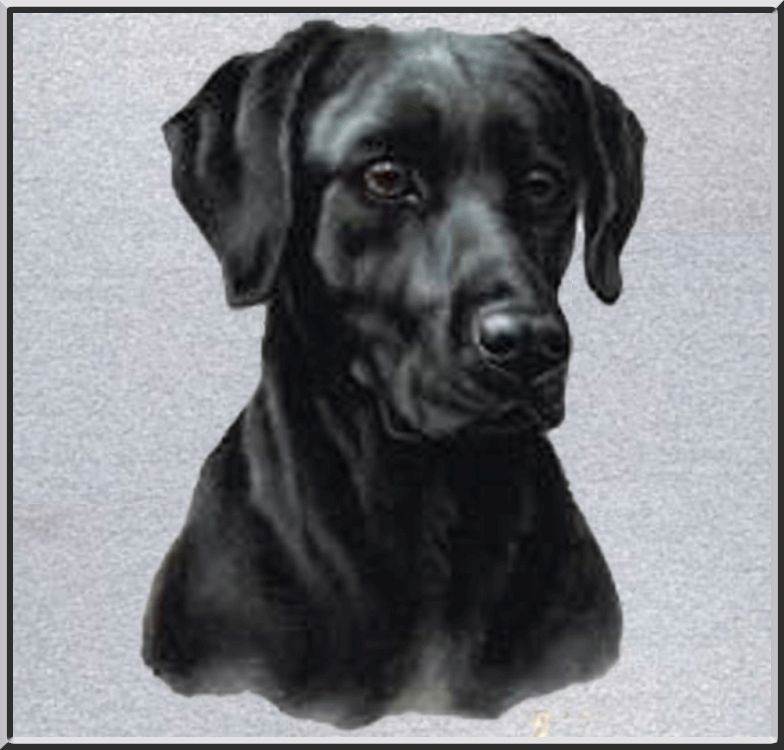 Judy Gibson Black Lab Retriever T Shirt S,M,L,XL,2X,3X  