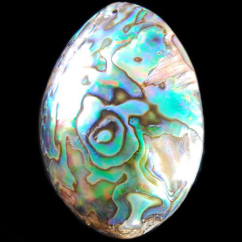 g22789 57x40x21 Abalone Shell Freeform Pendant Bead  