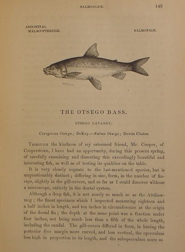   Antique FLY FISHING Fresh Water US FISH Deep Sea Lure vtg book  