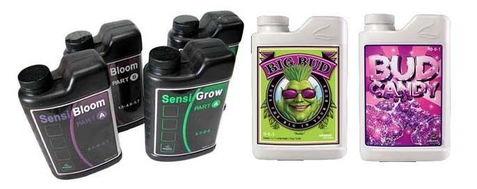 Sensi Grow Bloom A&B Big Bud Bud Candy 1L 1Liter  