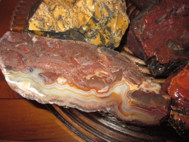 15 LB lot of agate jasper lapidary cutting rough slabbing specimen 