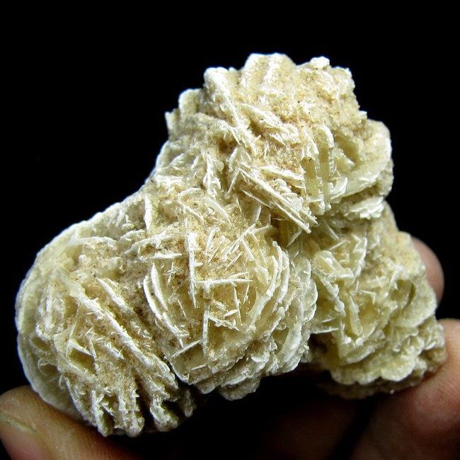 Gypsum Crystal Desert Rose Specimen gygx9ie1666  