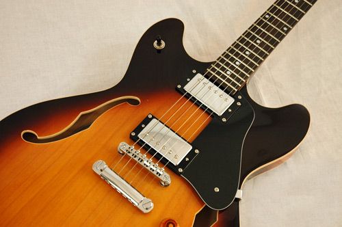 NEW PRO EG 335 TYPE SEMI HOLLOW JAZZ ELECTRIC GUITAR  