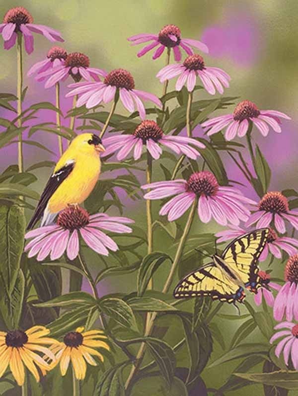 White Mountain Jigsaw Puzzle 18 x 24 550 Piece ~ BUTTERFLY & FINCHES 