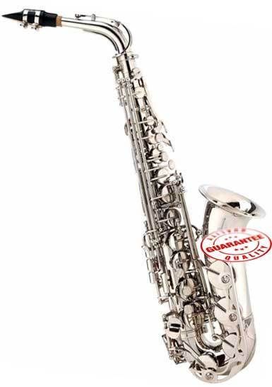 ALTO SAXOPHONE SILVER +PRO CASE+MOUTHPIECE+MORE  